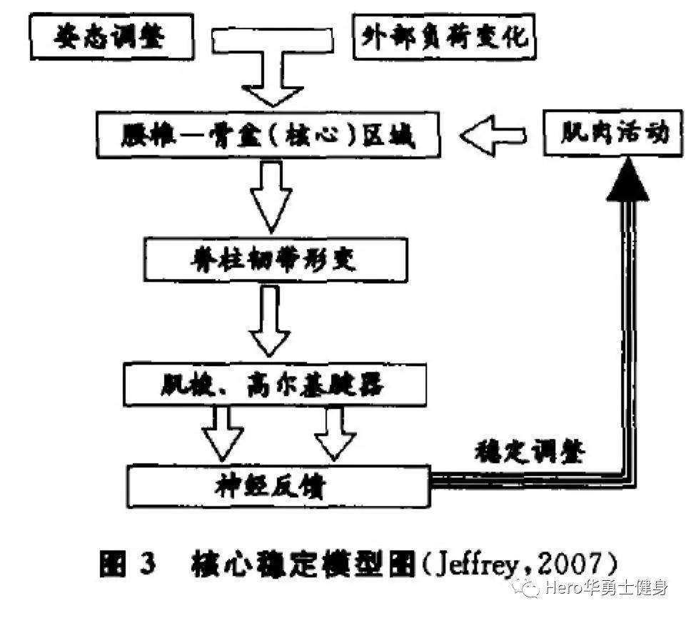 體育與體育科學(xué)的區(qū)別和聯(lián)系