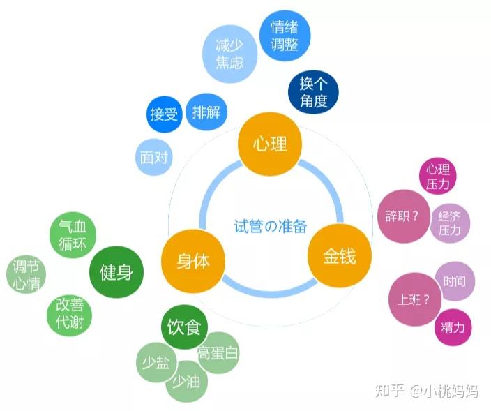 協(xié)和試管嬰兒費用,協(xié)和試管嬰兒費用與安全策略評估，專業(yè)解讀及展望,可持續(xù)執(zhí)行探索_移動版14.58.43