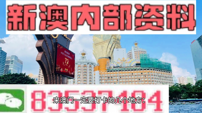 261新澳門內(nèi)幕資料,揭秘澳門內(nèi)幕，精細解析與創(chuàng)意展望——以澳門為靈感的故事探索,實地數(shù)據(jù)驗證實施_進階版93.23.93