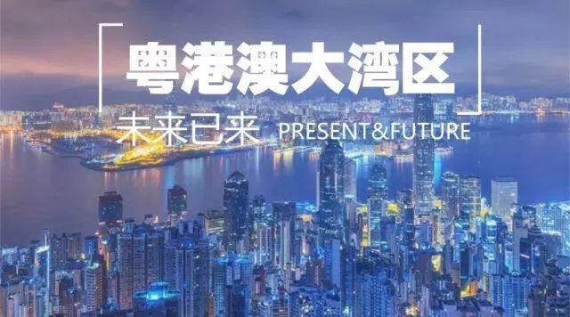 2025年今晚澳門開什么號(hào)碼,探索未來，數(shù)據(jù)策略在澳門的發(fā)展之路,定量分析解釋定義_基礎(chǔ)版81.92.95