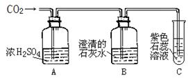 電子膨脹閥探頭安裝位置