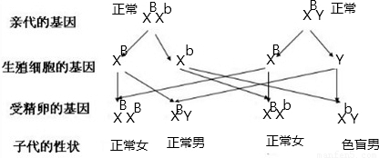 毛絨織物,毛絨織物，從實(shí)證研究的視角解析說(shuō)明,精準(zhǔn)解答解釋定義_UHD版74.22.29