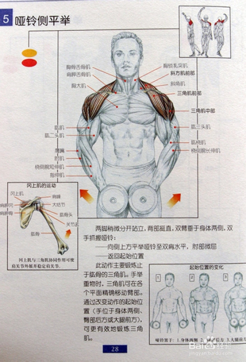 平舉啞鈴重量,UHD版平舉啞鈴重量與數(shù)據(jù)引導策略解析——19.23.60,深層數(shù)據(jù)執(zhí)行設計_旗艦版54.68.75