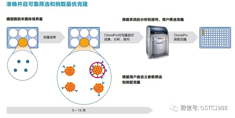 冰染染料的特點(diǎn)