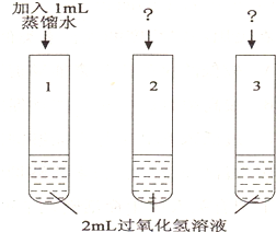 熱熔膠與色譜襯管污染的關(guān)系