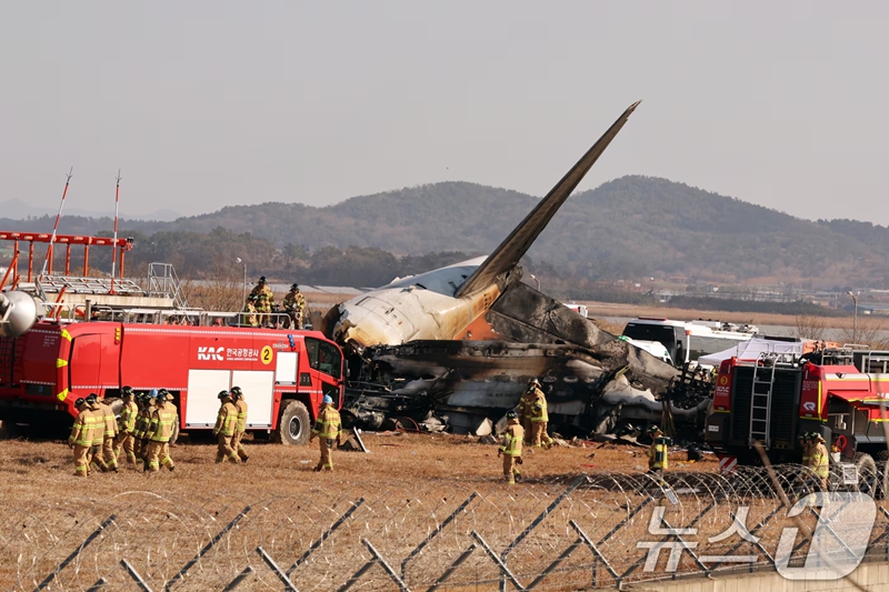 韓國(guó)客機(jī)事故遇難者DNA已全部采集