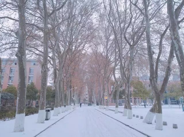 是的，武漢曾經下過雪。武漢的氣候比較濕潤，冬季有時會下雪。不過，具體的天氣情況會受到季節(jié)、氣候變化等因素的影響，因此無法確定每年是否一定會下雪。如果您需要了解武漢當前的天氣情況，可以查詢當地的氣象預報。