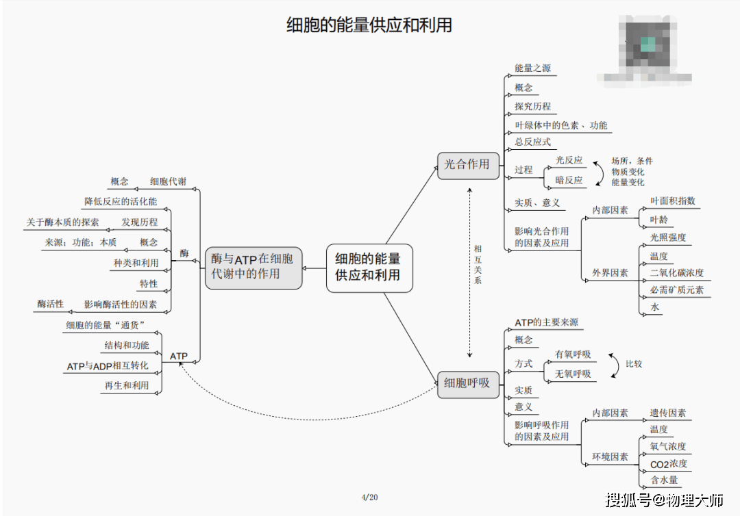 新澳彩三肖三碼三期必開碼