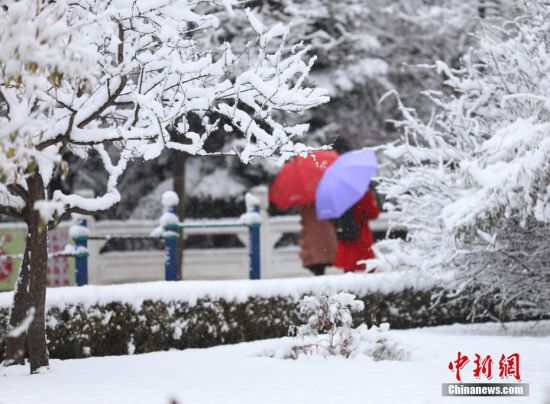 韓國大雪民眾依然聚集不愿離去