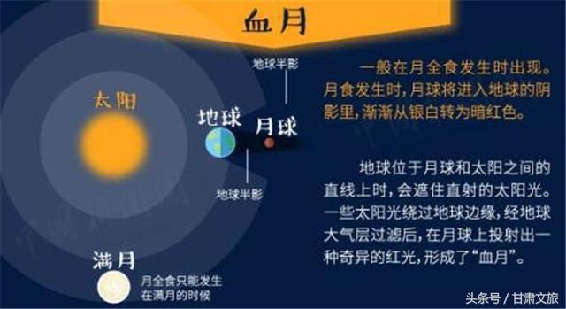 2025今晚澳門特馬開什么號,安全性方案解析_豪華款67.62.98