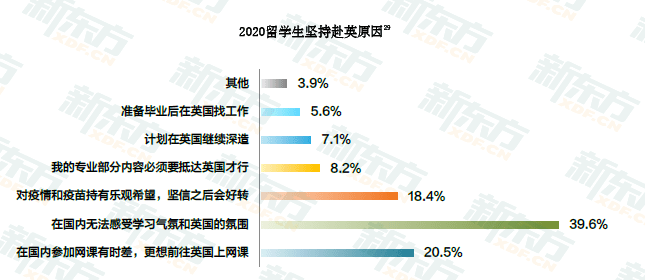 2025年港彩開獎結(jié)果查詢,羅馬尼亞留學(xué)生謝娜的中國年