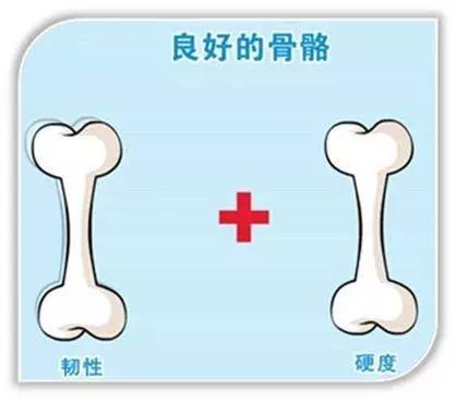 二四六玄機圖資料大全,骨折后要多喝骨頭湯？假