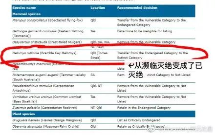 新澳今天最新資料2025年開獎結(jié)果查詢表154,女子坐飛機拍下千家萬戶齊放煙花